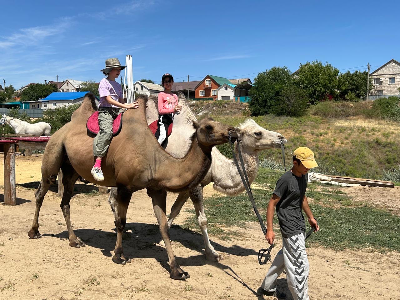 Дети Воскресной школы Элисты  побывали с экскурсией на «Верблюжьем острове»