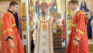 Архиепископ Юстиниан совершил Литургию в селе Приютное