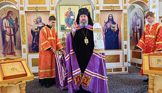 Архиепископ Юстиниан совершил Литургию в селе Приютное