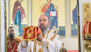 Архиепископ Юстиниан совершил Литургию в селе Приютное