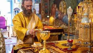 Архиепископ Юстиниан совершил Литургию в Казанском соборе Элисты 