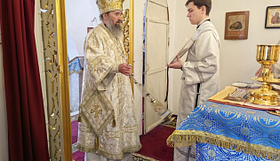 Архиепископ Юстиниан совершил Литургию в храме Рождества Богородицы села Садовое 